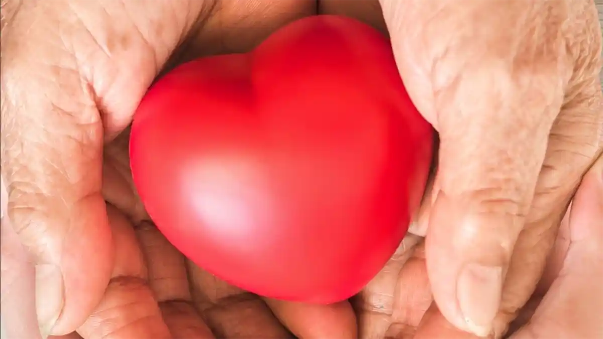 Illustration for a helping hand showing a heart being held in someone's hands.