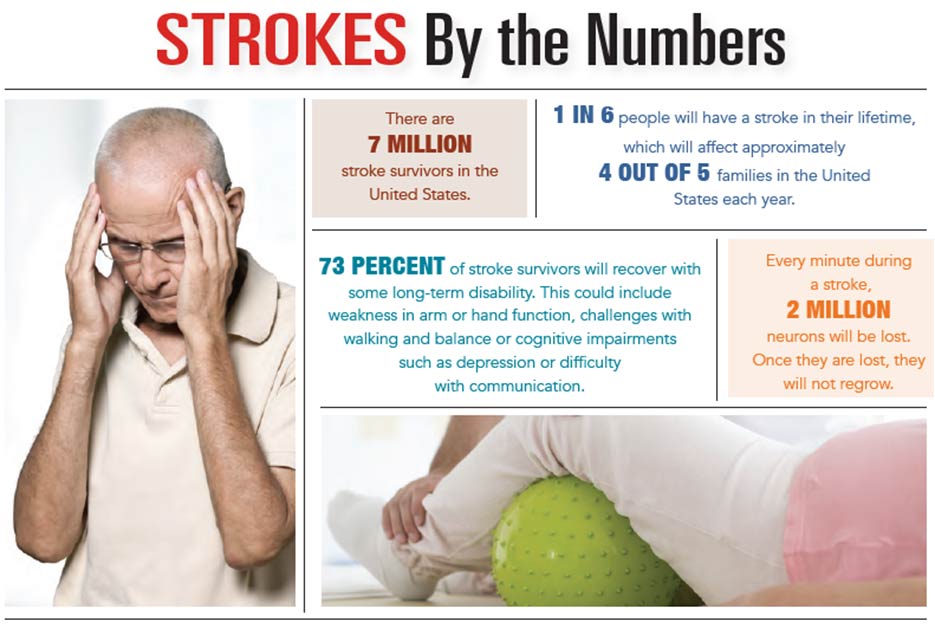 INFOGRAPHIC:Strokes by the Numbers