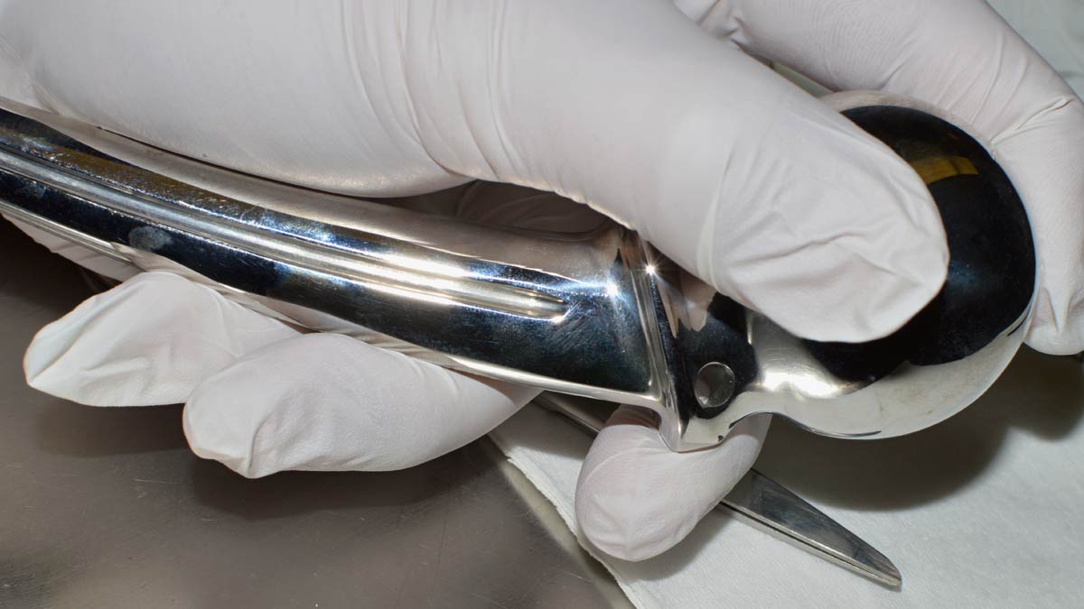 A Surgical Appliance. Lowcountry Orthopaedics Focuses on Fast Recovery.