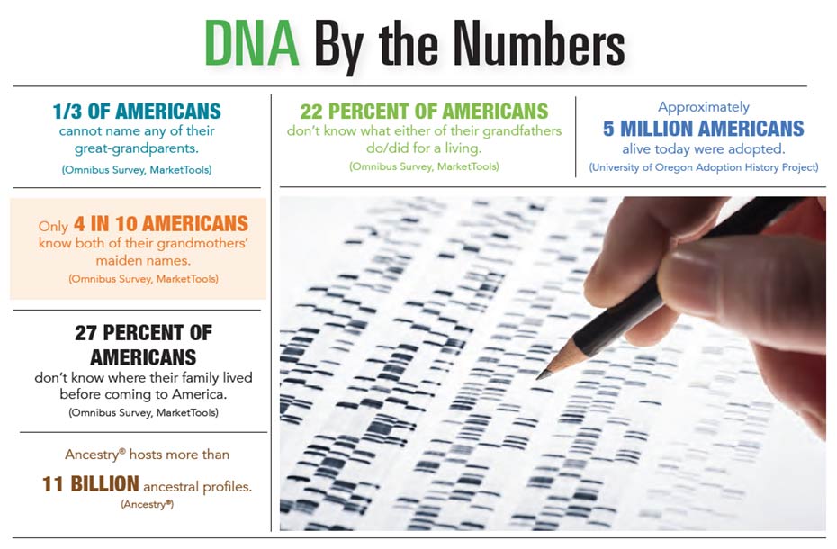 INFOGRAPHIC: DNA by the Numbers