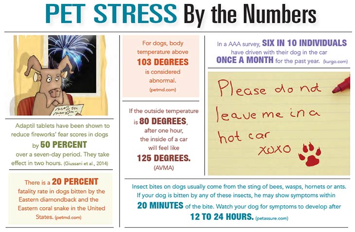 INFORGRAPHIC: Pet Stress By The Numbers