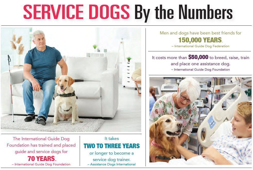 INFOGRAPHIC: Service Dogs by the Numbers