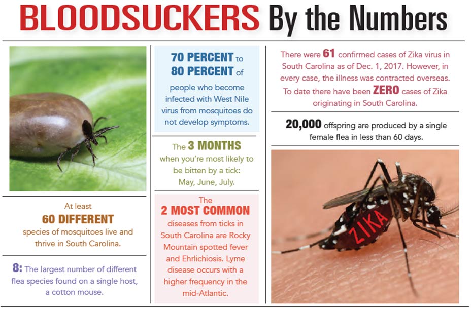 Bloodsuckers by the Numbers. INFOGRAPHIC about bloodsucking bugs