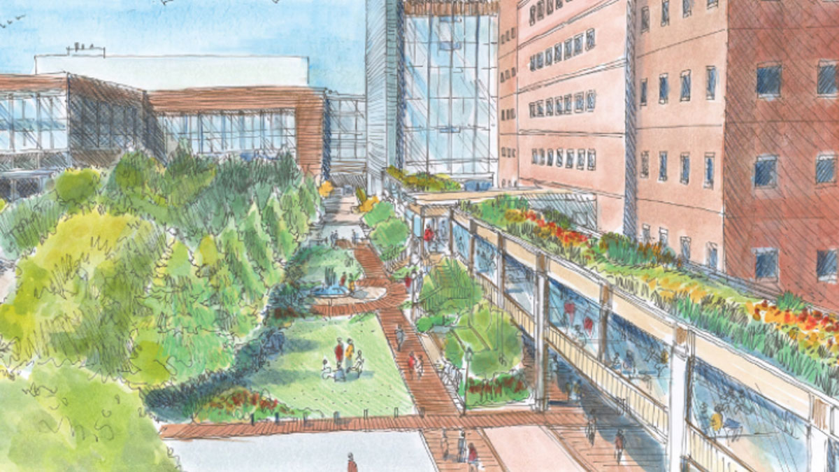 An artist's rendering of the Charleston Medical District Greenway