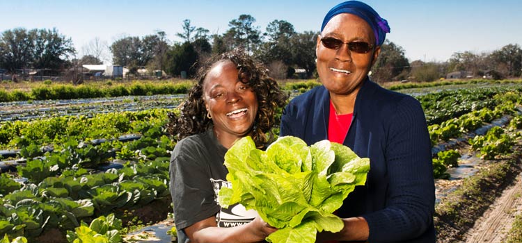 Joseph Fields Farm: Our entire farm is certified organic. and people come to the market asking for organic and chemical free.