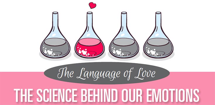 The Language of Love: The Science Behind Our Emotions