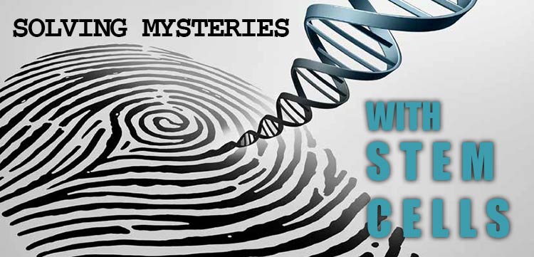 Solving mysteries with stem cells