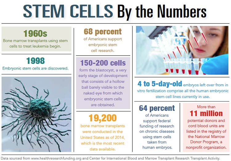 INFOGRAPHIC: Stem Cells by the Numbers