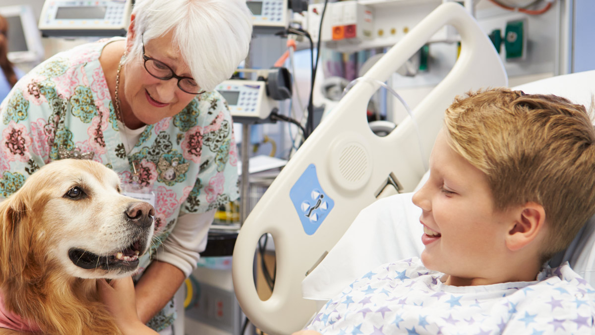 A therapy dog in a hospital with a young patient