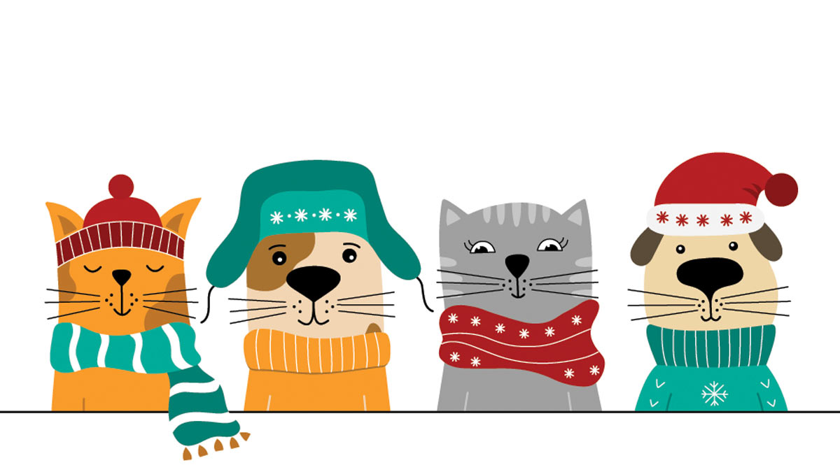 An illustration of pets in winter gear.