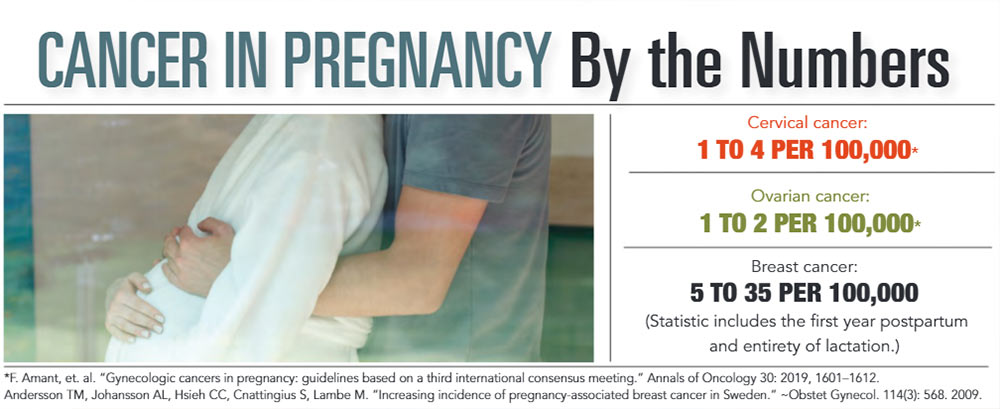 INFOGRAPHIC: Cancer in Pregnancy by the Numbers.