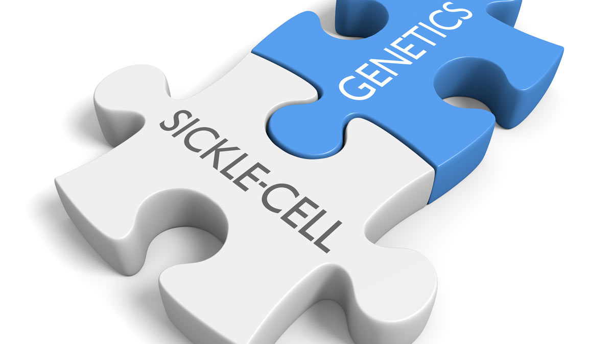 ILLUSTRATION: Sickle Cell Disease and Genetics