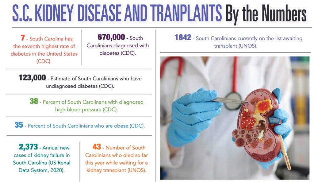 INFOGRAPHIC: SC Kidney and Disease Transplants by the Numbers