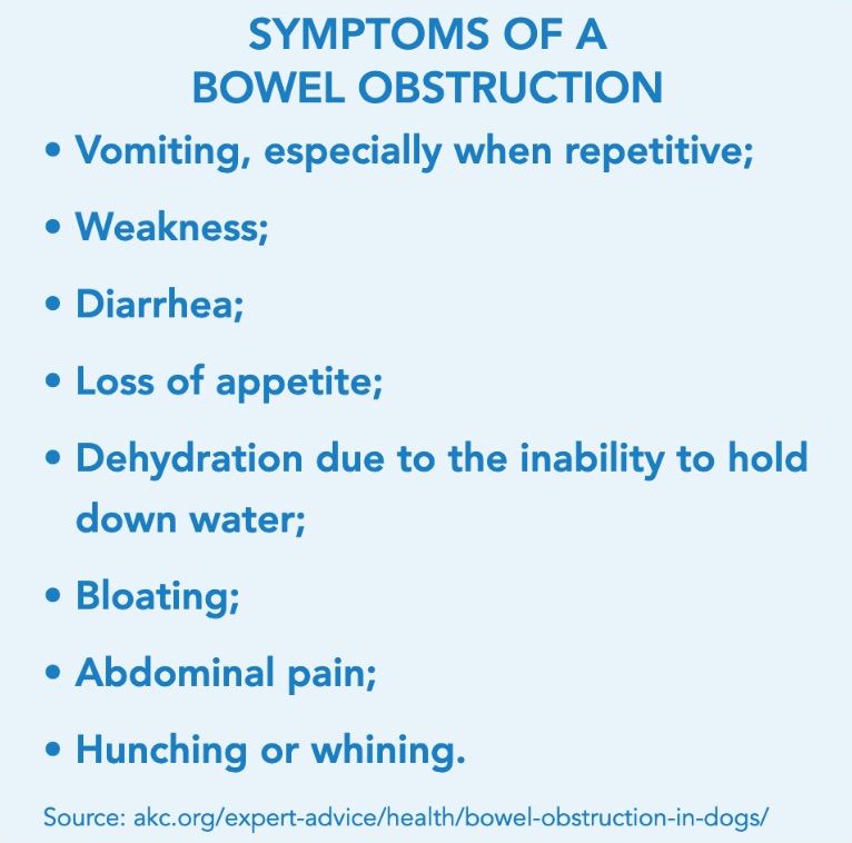 Graphic of symptons of a bowel obstruction