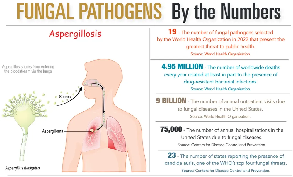 INFOGRAPHIC: Fungal Pathogens by the Numbers