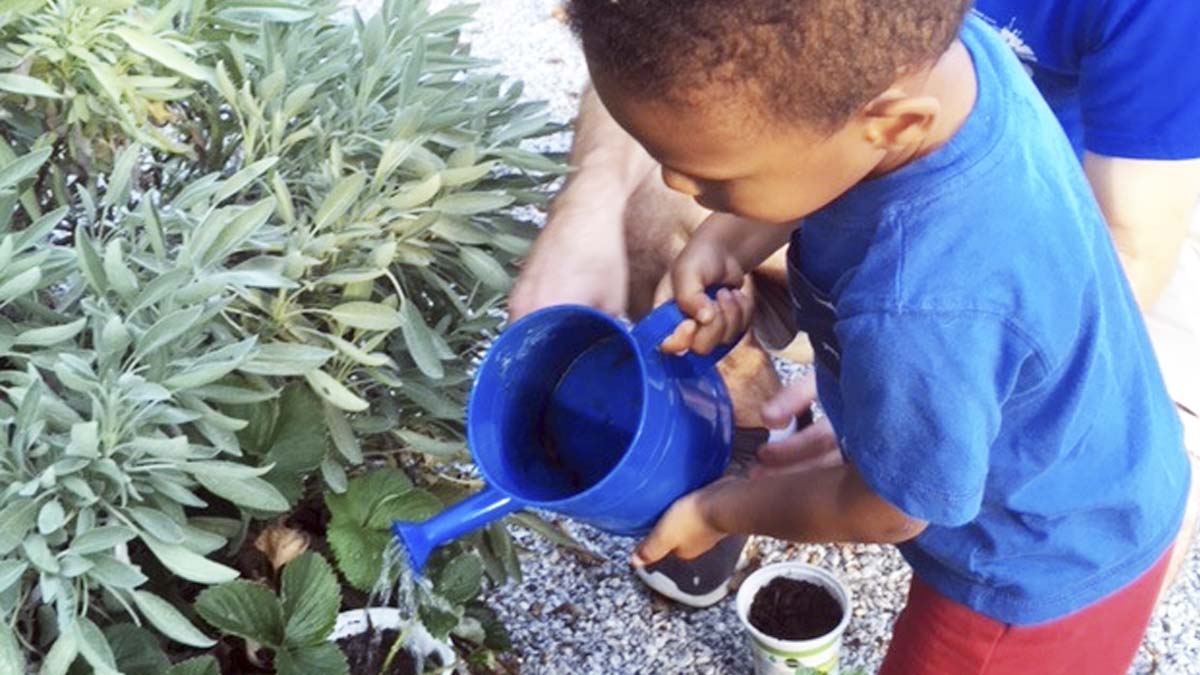 Photo of a child who is watering plants