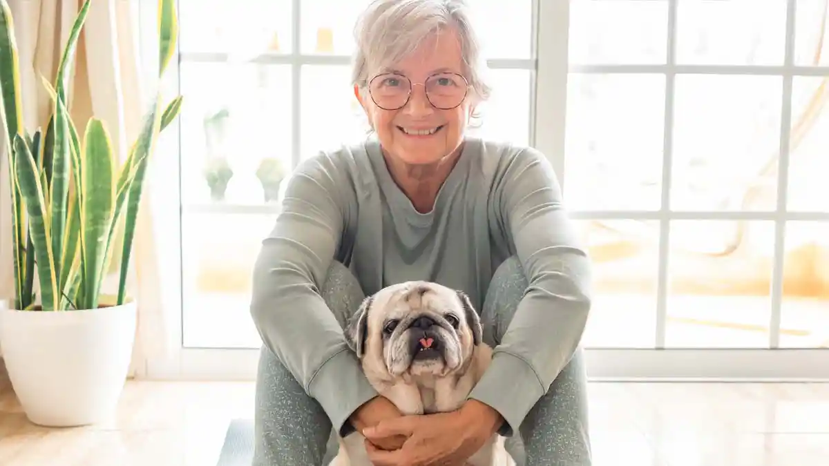 A senior dog with its owner.