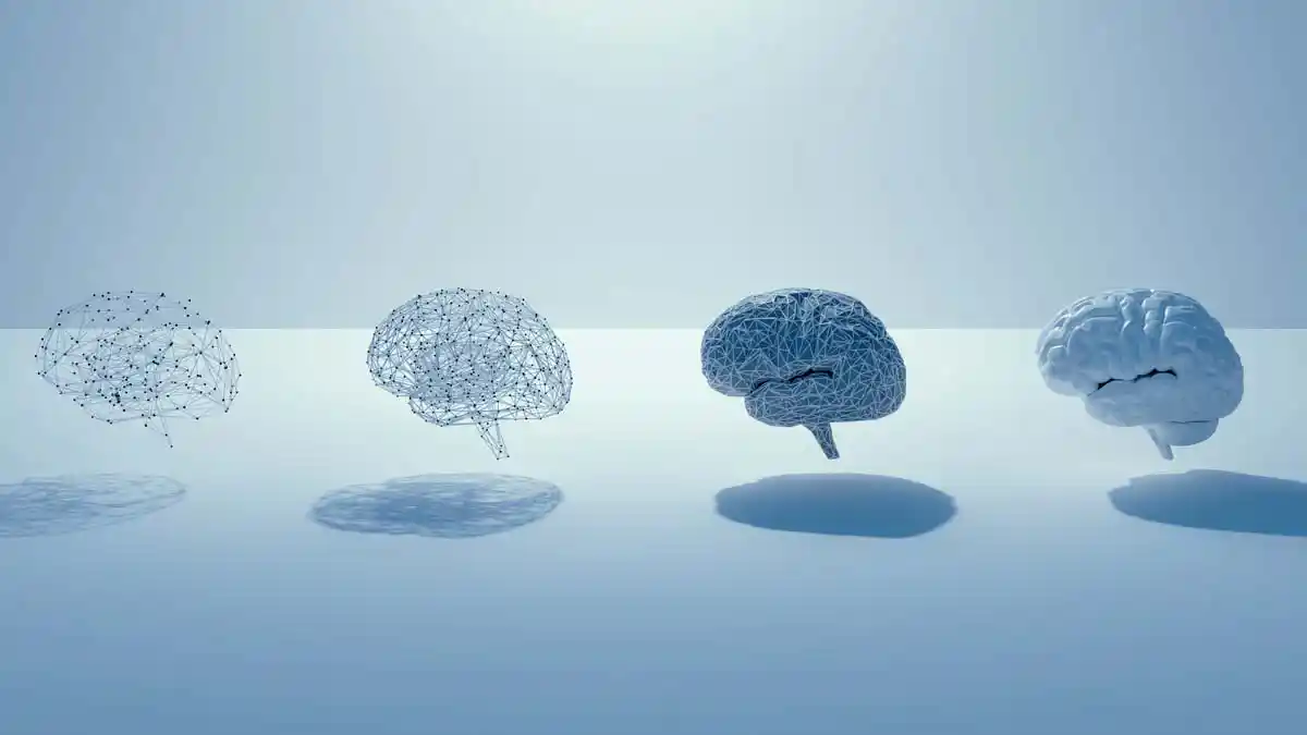 Computer renderings of the human brain