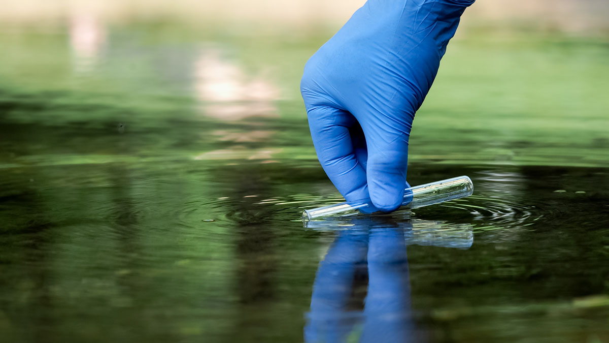 Photo of a gloved hand in water