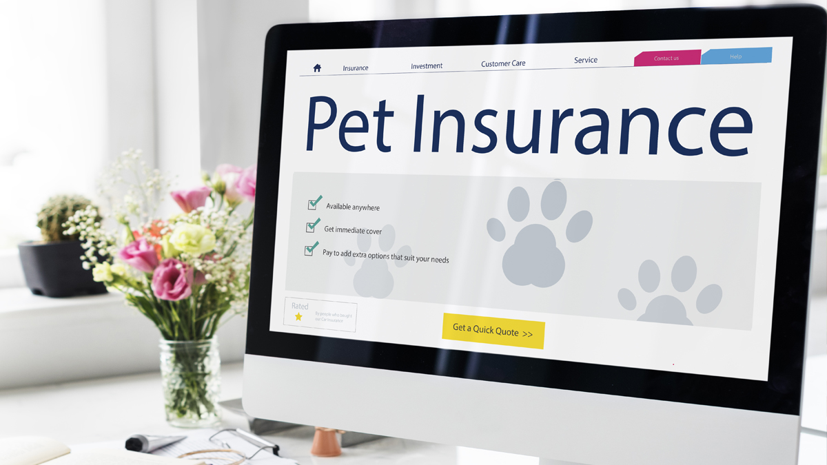 Photo of computer with a pet insurance website