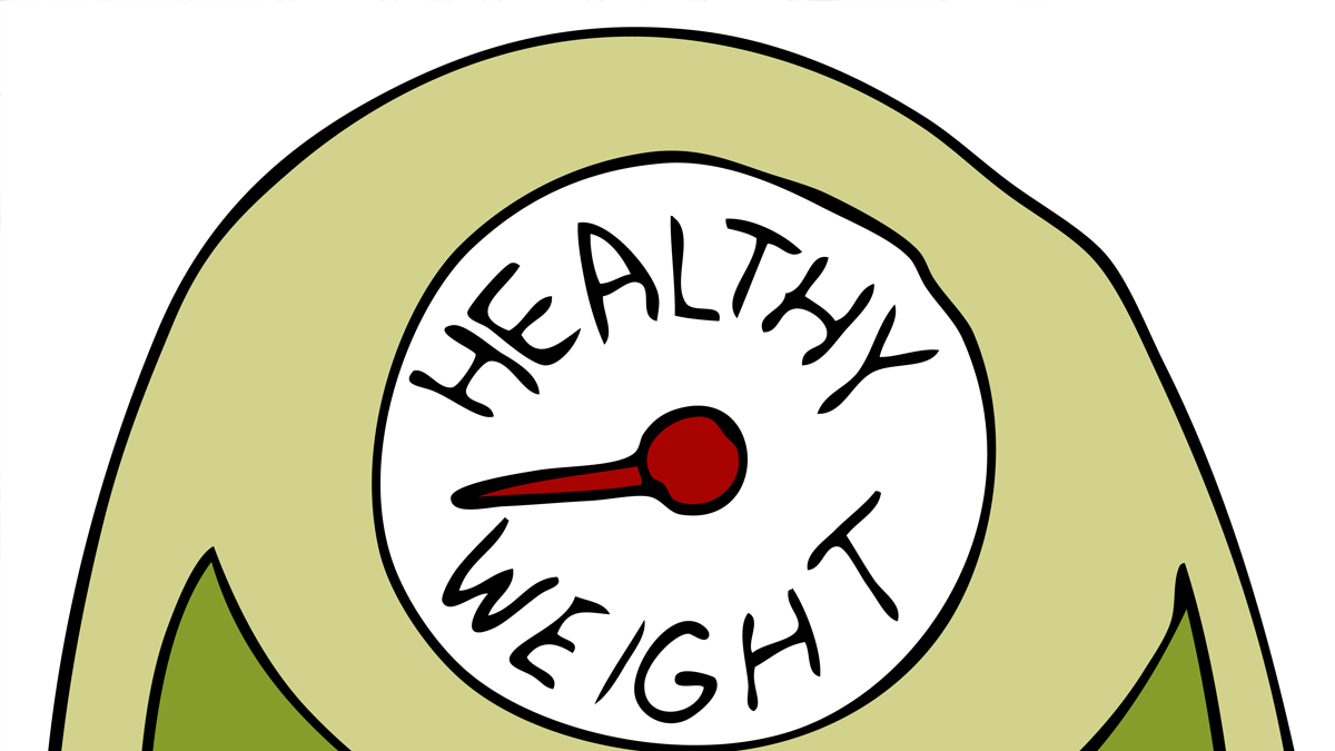 Graphic of healthy weight
