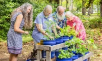 The Missing Link in Alzheimer’s disease? Wendy Hudson Murphy gardening with RCC members .
