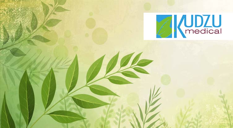 Kudzu Medical Staffing