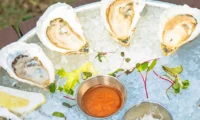 Where Charleston Locals Really Eat Where Charleston Locals Really Eat